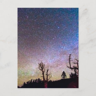 Starry Universe Postcard