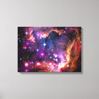 Starry Wingtip of Small Magellanic Cloud Canvas Print