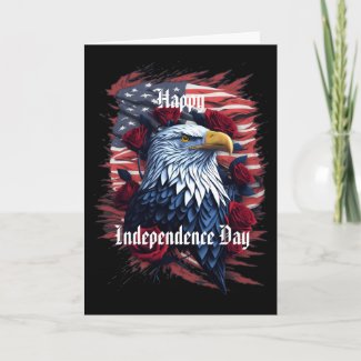 Stars and Stripes 4th July Independence Day Flag
