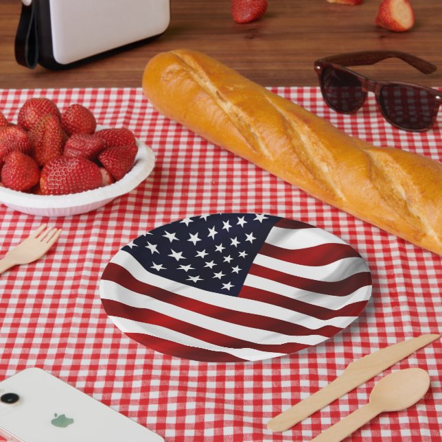 STARS AND STRIPES FLAG PAPER PLATES (Picnic)