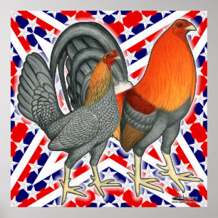 Stars and Stripes Gamefowl Poster