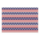 Stars and Stripes Patriotic American Flag USA