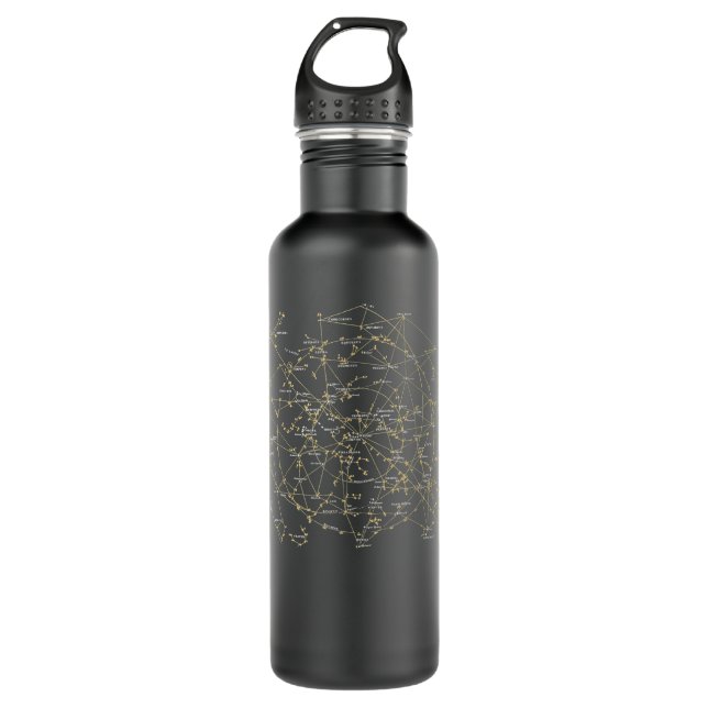 Stars Constellations Astronomy Cosmos Galaxy  Stainless Steel Water Bottle (Front)
