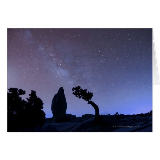 Stars in sky over desert cards (Front Horizontal)