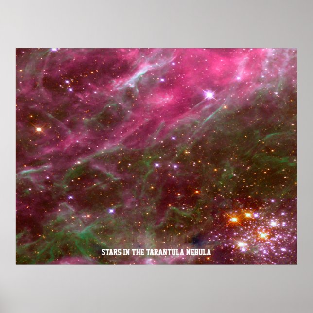 Stars in Tarantula Nebula Pink Hue Value Poster (Front)