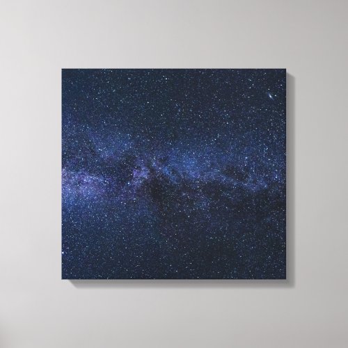 Stars in the Milky Way Canvas Print