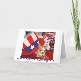 Stars & Stripes Chihuahua Card