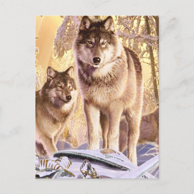 "Stars Under Snow" Postcard (Front)