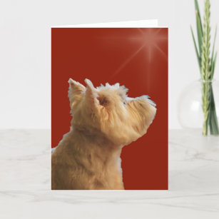 14+ Westie Christmas Cards 2021