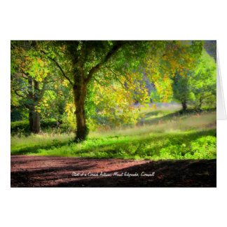 Start of a Cornish Autumn, Torpoint -blank notelet