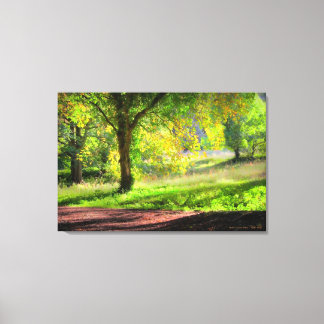 Start of a Cornish Autumn - wrapped canvas