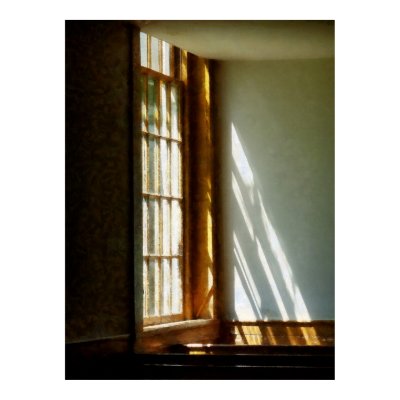 https://rlv.zcache.com/starting_under_20_sun_streaming_through_window_poster-p228347371856836890qzz0_400.jpg