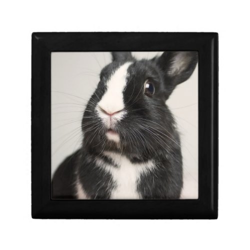 Startled Black and White Bunny Rabbit Gift Box
