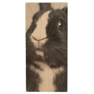 Startled Black and White Bunny Rabbit Wood Flash Drive