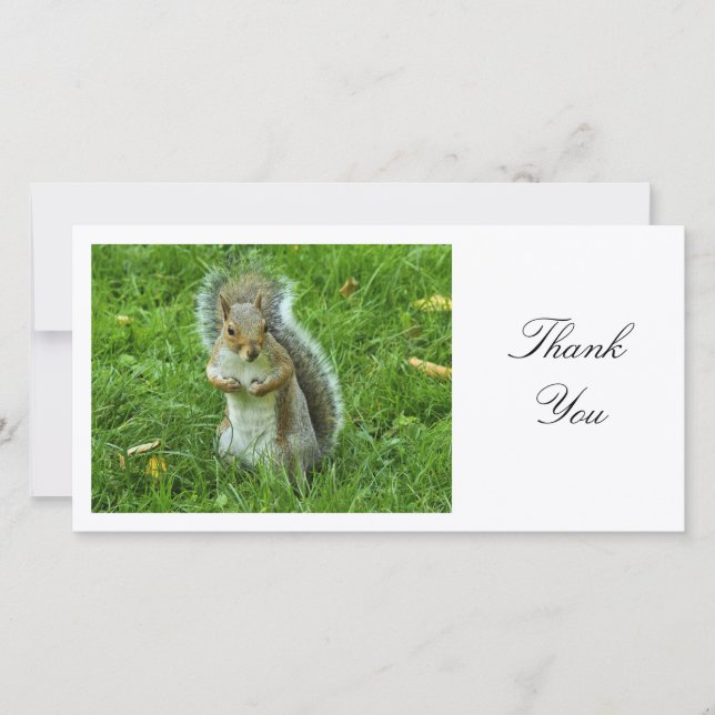 Startled Grey Squirrel - Thank You (Front)