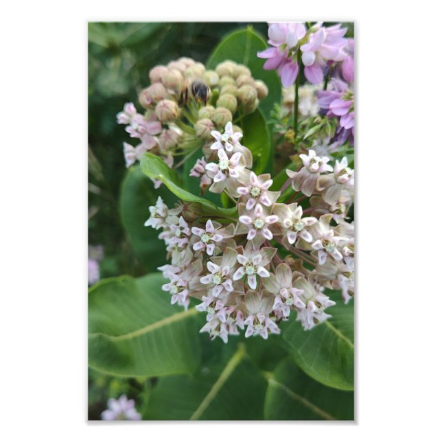 Startling Colors Photo Print (Front)