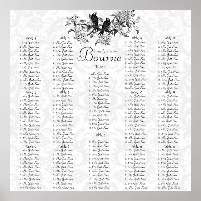 Starts at $12.80 Vintage Birds Seating Chart (Front)