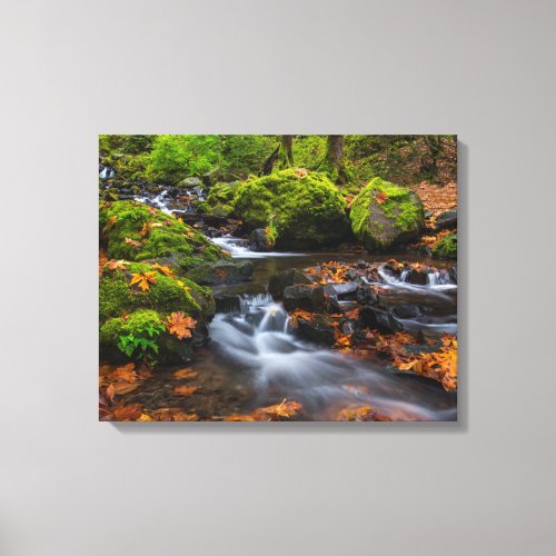 Starvation Creek Falls  Columbia Gorge Oregon Canvas Print