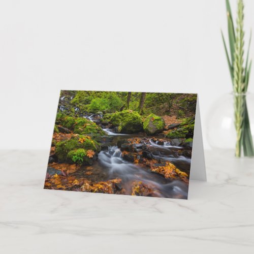 Starvation Creek Falls  Columbia Gorge Oregon Card