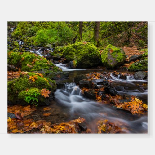 Starvation Creek Falls  Columbia Gorge Oregon Foam Board