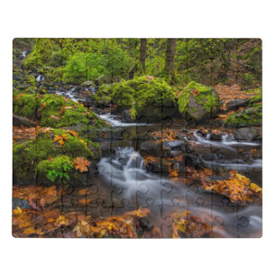 Starvation Creek Falls   Columbia Gorge, Oregon Jigsaw Puzzle