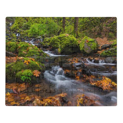 Starvation Creek Falls  Columbia Gorge Oregon Jigsaw Puzzle