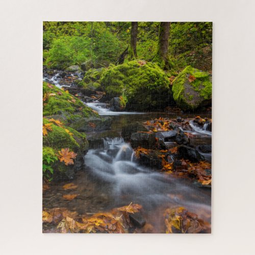 Starvation Creek Falls  Columbia Gorge Oregon Jigsaw Puzzle