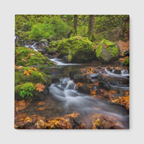 Starvation Creek Falls  Columbia Gorge Oregon Magnet