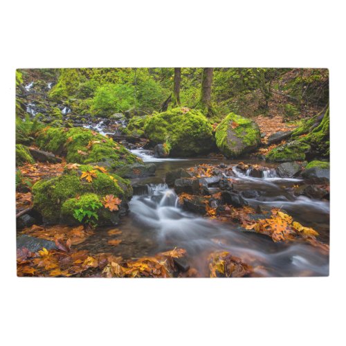 Starvation Creek Falls  Columbia Gorge Oregon Metal Print