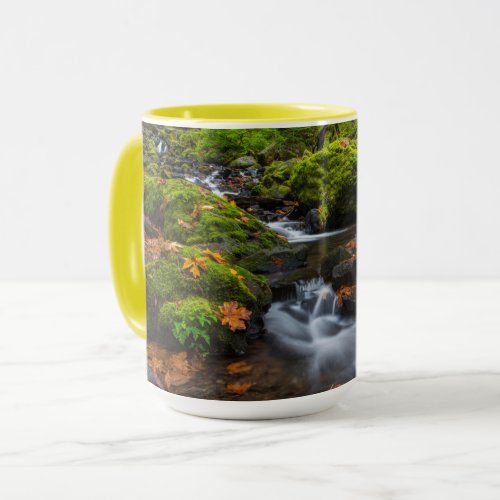 Starvation Creek Falls  Columbia Gorge Oregon Mug