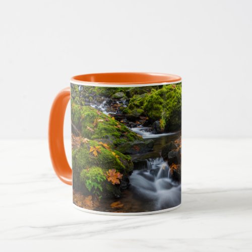 Starvation Creek Falls  Columbia Gorge Oregon Mug