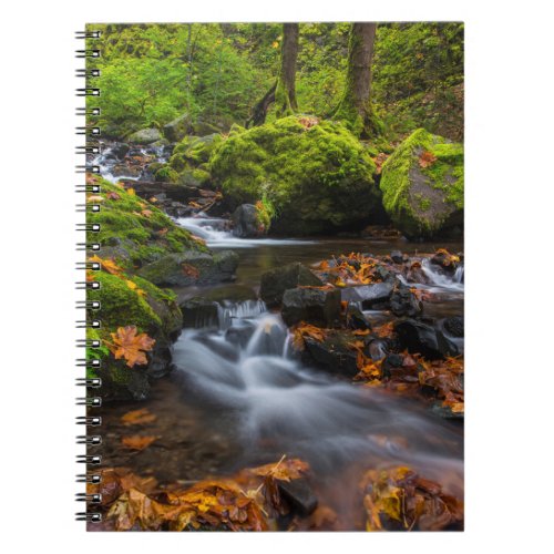 Starvation Creek Falls  Columbia Gorge Oregon Notebook