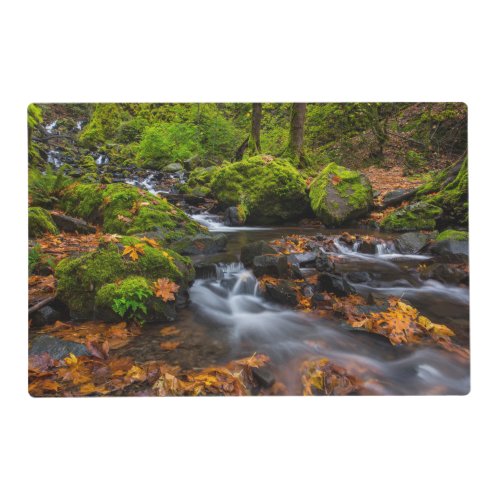 Starvation Creek Falls  Columbia Gorge Oregon Placemat