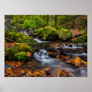 Starvation Creek Falls Columbia Gorge, Oregon Poster
