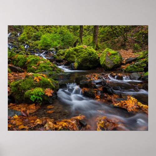 Starvation Creek Falls  Columbia Gorge Oregon Poster