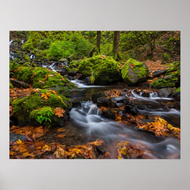 Starvation Creek Falls | Columbia Gorge, Oregon Poster (Front)