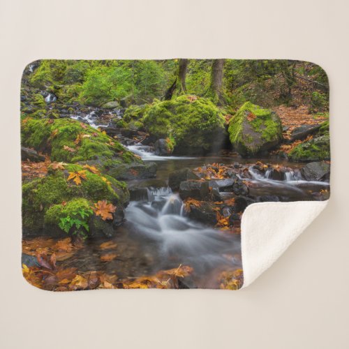 Starvation Creek Falls  Columbia Gorge Oregon Sherpa Blanket