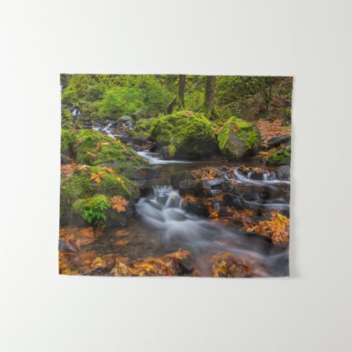 Starvation Creek Falls  Columbia Gorge Oregon Tapestry