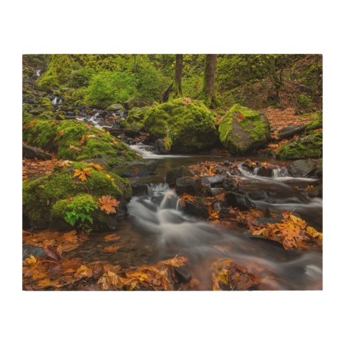 Starvation Creek Falls  Columbia Gorge Oregon Wood Wall Art