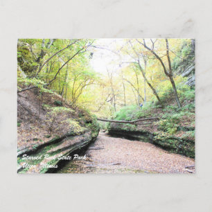 Starved Rock Postcard