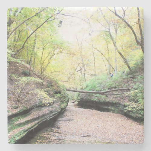 Starved Rock State Park Autumn Stone Coaster