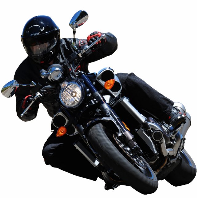 starVmax Photo Sculpture (Front)