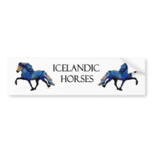 Stary Night Icelandic Horse