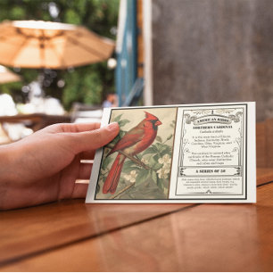 State Bird Collection, Cardinal, customizable Thank You Card