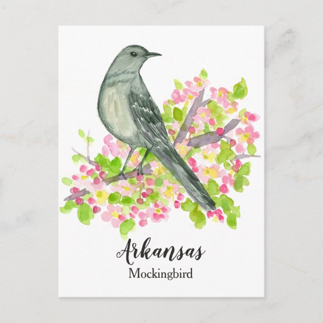 State Bird of Arkansas Mockingbird Apple Blossom Postcard (Front)