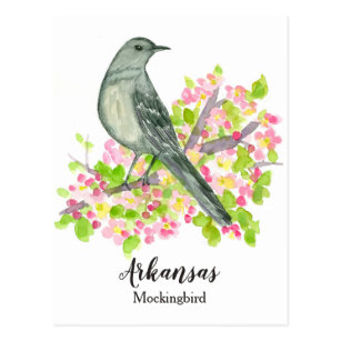State Bird Of Arkansas Mockingbird Apple Blossom Postcard