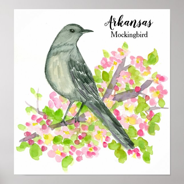 State Bird of Arkansas Mockingbird Flowers Poster (Front)