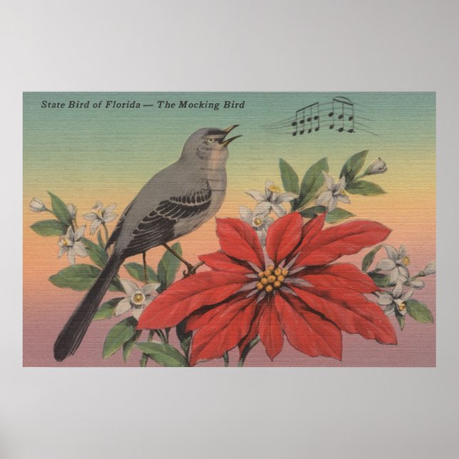 State Bird of FloridaMocking BirdFlorida Poster (Front)