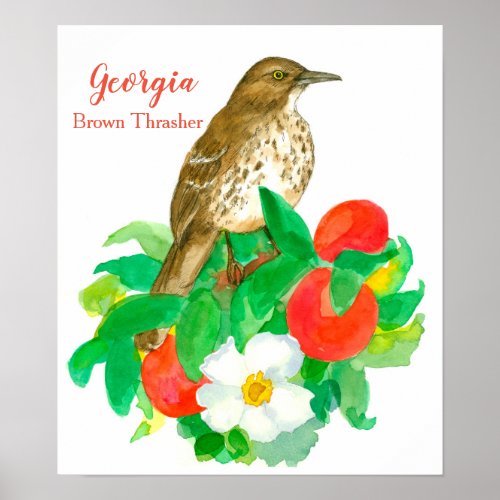 State Bird of Georgia Brown Thrasher Poster