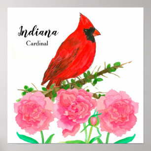 State Bird of Indiana Red Cardinal Peonies Poster